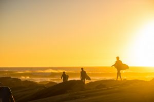 mfsprout 20151011 345 mfsprout 20151011 345