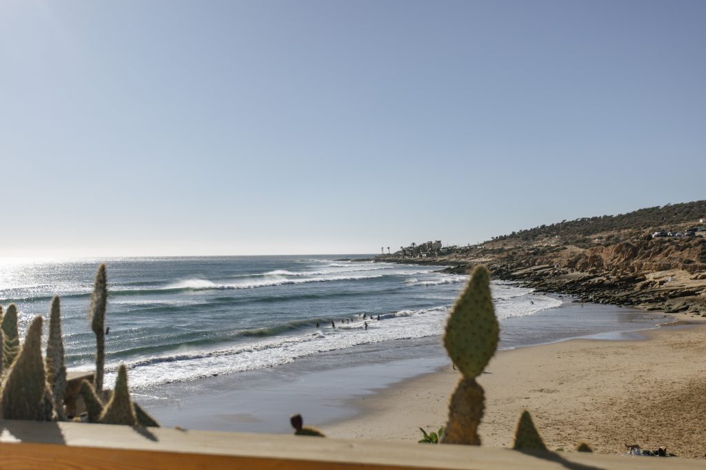 AM VIEW ByBellaBunce AM VIEW ByBellaBunce